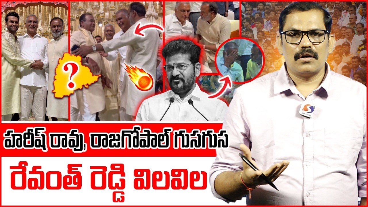 Harish Rao Attend Komati Reddy Family Wedding || Revanth Reddy || Rajagopal Reddy || Signal TV