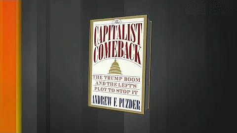 Author Andrew Puzder Blames Democrats for 'Toxic' Atmosphere in D.C.