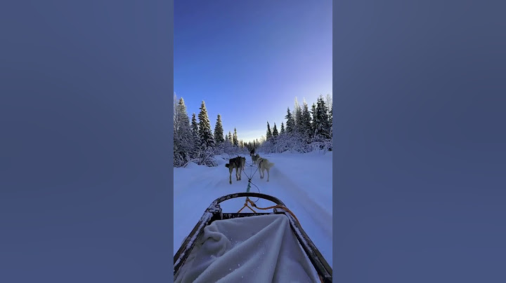 Lapland 🥶🇫🇮 #husky #lapland #finland #ice #winter #snow