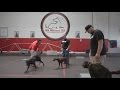 Starting a Dog Training Business: Sit Means Sit Franchise School Week 3 (3 of 3) | SitMeansSit.com Starting a Dog Training Business: Sit Means Sit Franchise School Week 3 (3 of 3) | SitMeansSit.com