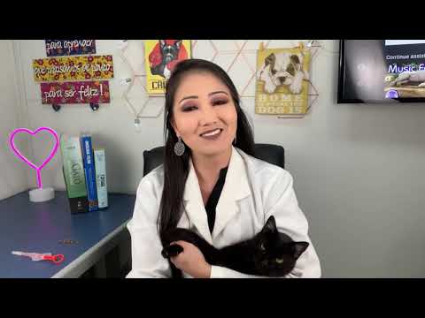 Vídeo: Segurança De Comprimidos Mastigáveis com Sabor Lotilaner (Credelio TM) Após Administração Oral Em Gatos