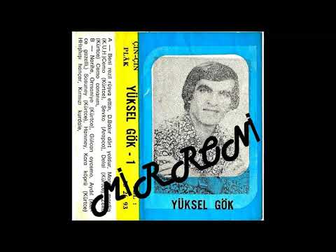 Yüksel Gök  Bunca Tabib (özel seri)