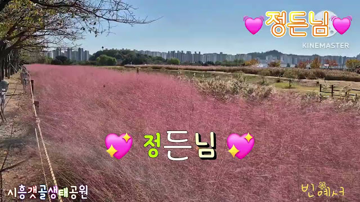 🌷빈예서 💘정든님 (원곡 김연자) 🌾시흥갯골생태공원