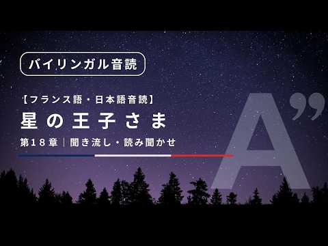 FR/JP SUB] The Little Prince audiobook - chapter 18 | French - YouTube