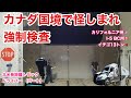 【#184】カナダ国境で怪しまれ強制検査⁉︎ カリフォルニア州🇺🇸〜I-5〜ブリティッシュコロンビア州🇨🇦 イチゴ13トンを運ぶ🍓　北米トラックドライバー　ゴート