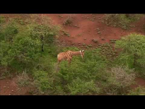 HOME - The Adventure with Yann Arthus-Bertrand