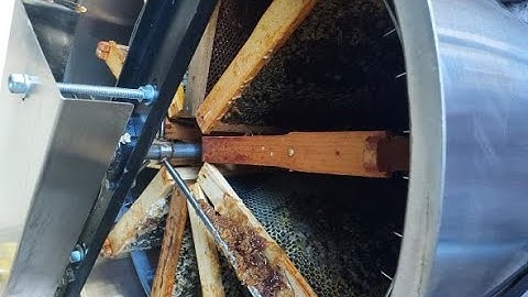 Honey Extraction Maxant
