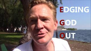 which birds do not fly 5