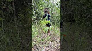 Hunting‼️ #viral #shorts