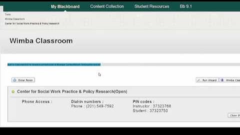 Blackboard 9.1.13: Access Wimba