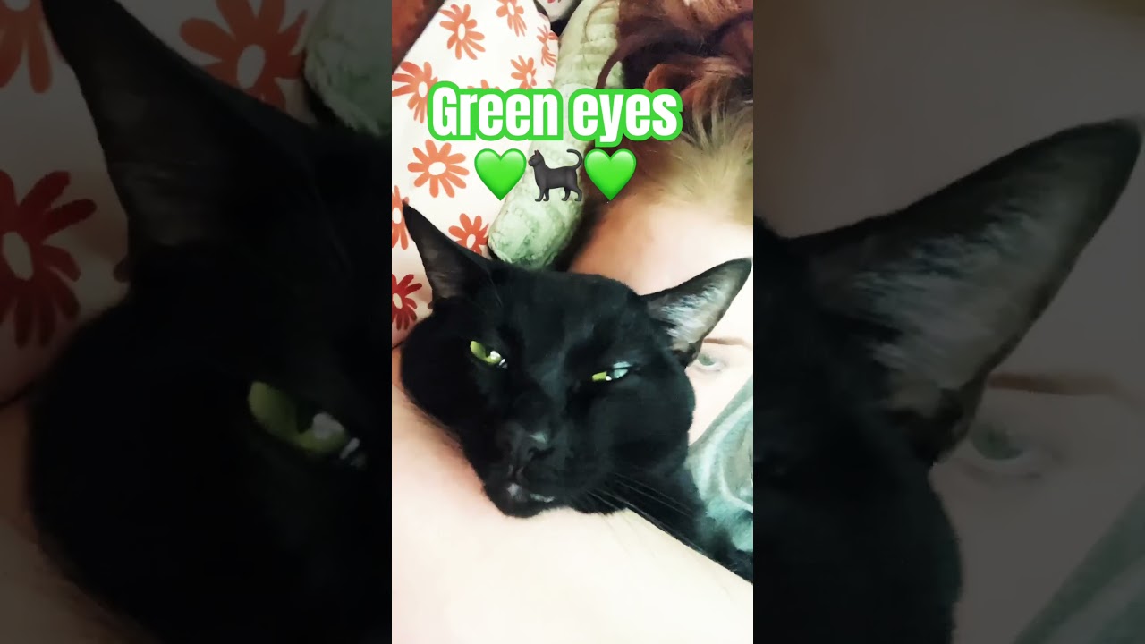 Green eyes 