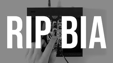 RIP BIA: A Lovesong to the Basimilus Iteritas Alter / 2016-2023