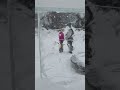 Ледяной лабиринт