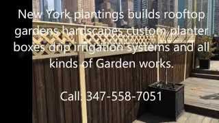 newyorkplantings builders of custom cedar fencing have added this lattice top privacy screen for this manhattan rooftop gardener. 
