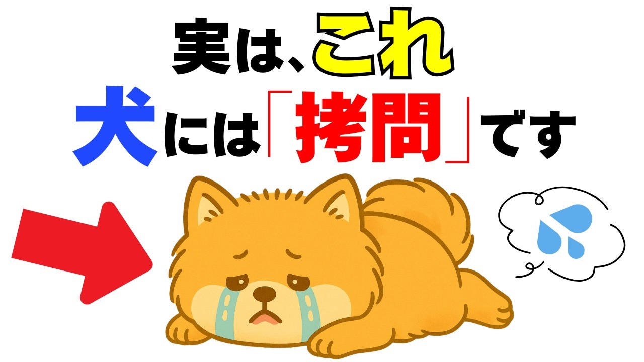 【実は逆効果】犬にとって泣くほど辛い飼い主の行動１２選｜犬の厳選雑学