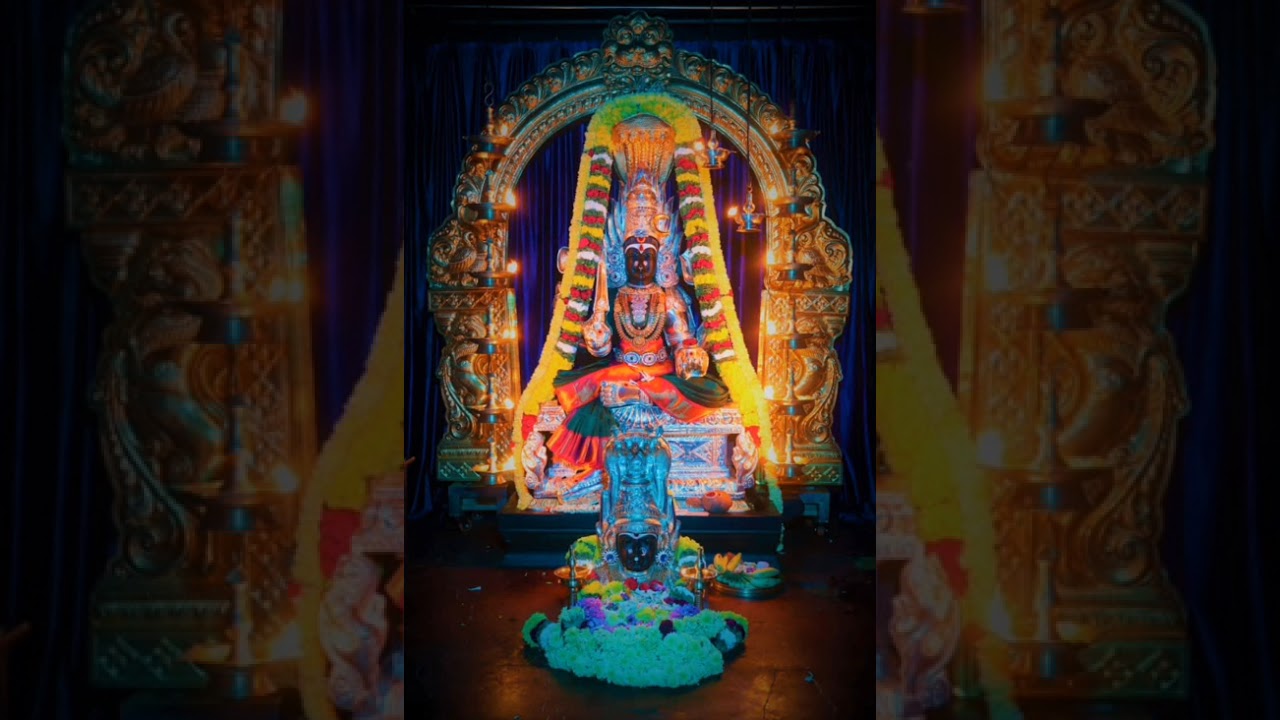 KARUMARI PUSHPA MALAI BY VIDYA ARUN . TEMMANGU M ETTU