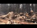 54,000-Acre Caldor Fire Sweeps Through the Town of Grizzly Flats