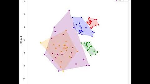 CCN 2019 - Supp Video for Lin et al. (2019): Procrustes-aligned MDS for timestamped RDM Movies