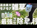 【芝生除草剤】やばいくらいモサモサの雑草を撲滅します