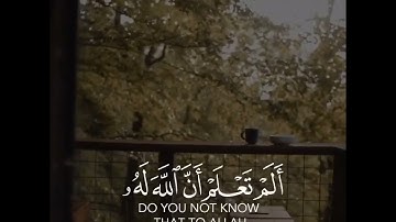 ألم تعلم أن الله على كل شيء قدير - سورة البقرة - القارئ ياسر الدوسري🎤🥀💝 #القران_الكريم #فلسطين