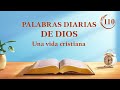 Palabras diarias de Dios: La encarnación | Fragmento 110