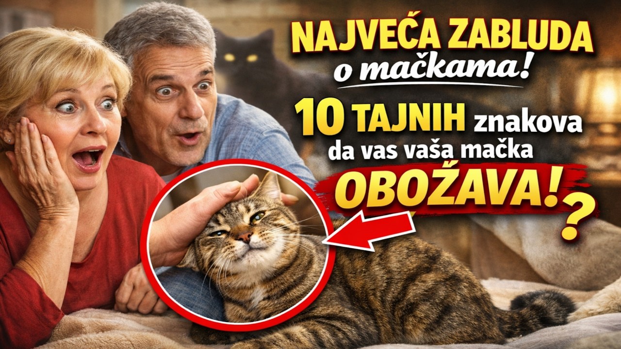 NAJVEĆA ZABLUDA o mačkama! 🙀 10 TAJNIH znakova da vas vaša mačka OBOŽAVA!