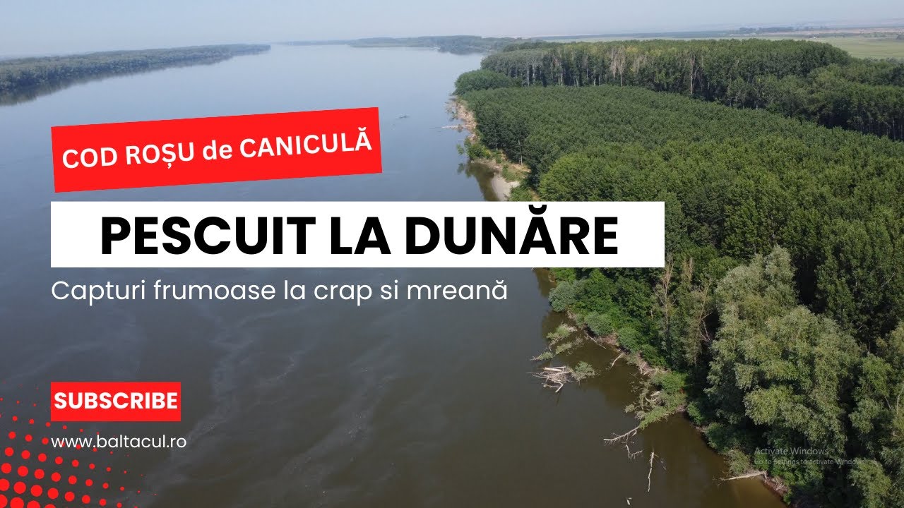 Pescuit la Dunăre după crap si mreană! Provocare pe caniculă! BONUS - Cine sapă șanțurile in pădure?