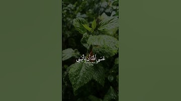 فاصبرٌ جميل | القارئ إسلام صبحي 😭 تلاوة خاشعة | حالات واتس ~ من سورة يوسف ♥️..