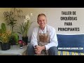 Taller virtual de orquídeas para principiantes  - Alma del bosque