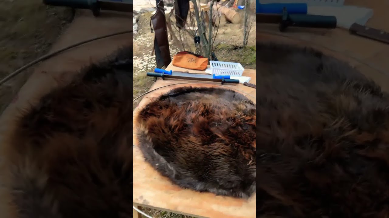 Hoopin On The River Sfyk Beavertrapping Alaska