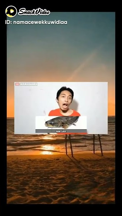 lawak ikan tongkol malah ikan kontol😅😅