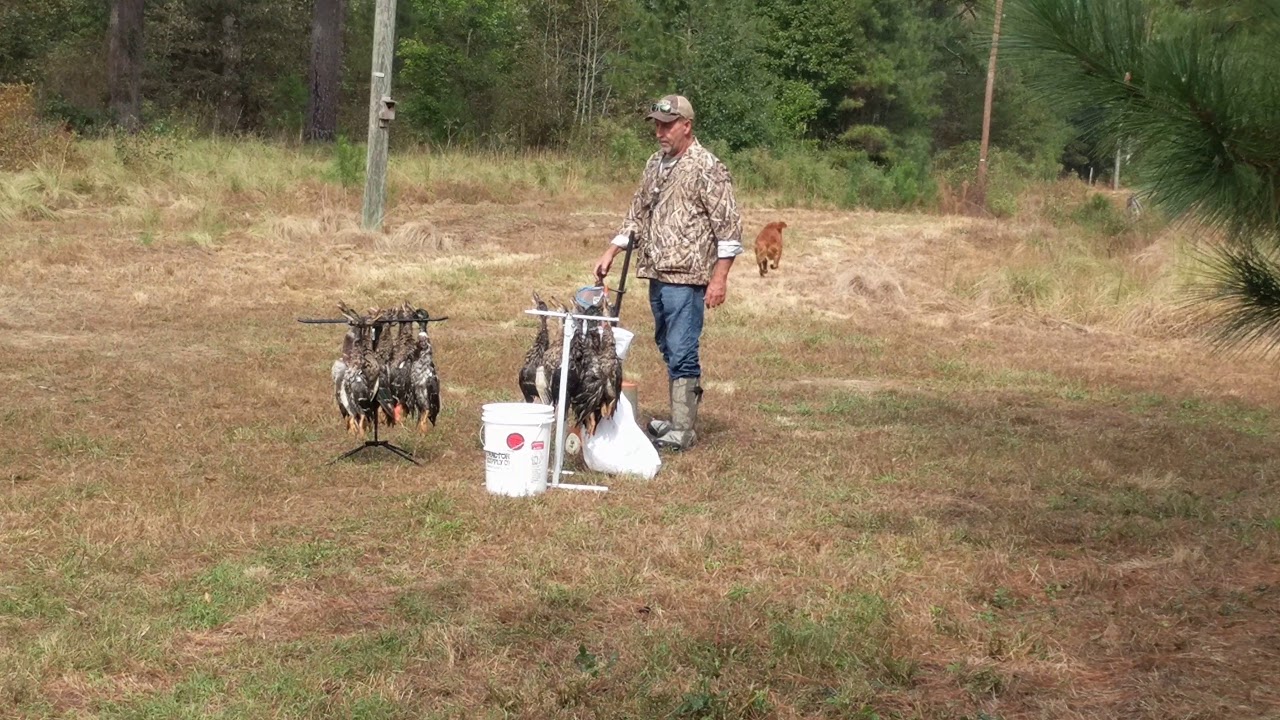 RCHRC HRC UKC Hunt Test Land Series YouTube rchrc-hrc-ukc-hunt-test-land-series-youtube