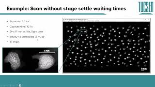 Scanning without stage settle waiting times