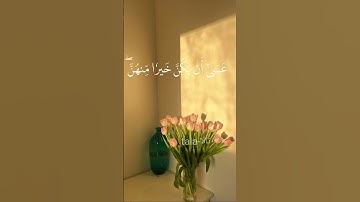 الاية 11 من #سورة_الحجرات بصوت القارئ#عبدالرحمن_السديس #قرآن #قرآن_كريم #القرآن_الكريم