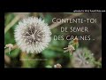 Contentetoi de semer des graines  audioblog