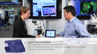 Zeiss Primo Star HD Microscope