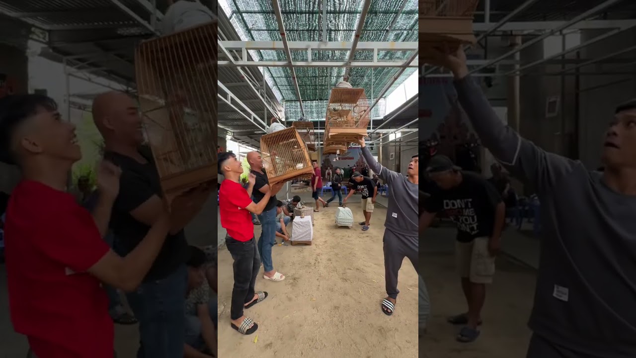 HÔM NAY LẤY XE NHÉ AE