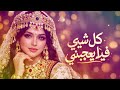 كل شي فيك يعجبني شيلة غزل رومانسية 2027 كلمات ابو جنى صوت ذكاء اصطناعي حصري