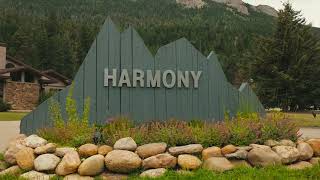 Harmony Recovery: A Comprehensive Continuum of Care | AllHealth Network