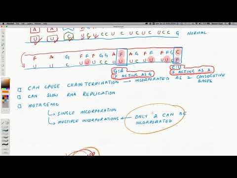 Video: Oxybral - Instructies Voor Gebruik, Indicaties, Analogen, Beoordelingen