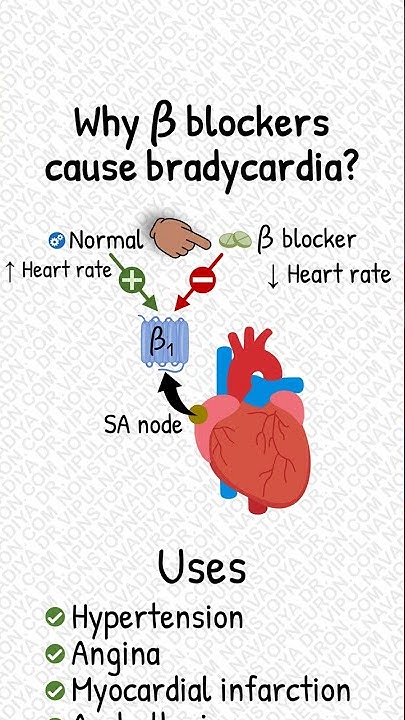 how-blockers-cause-bradycardia-shorts-youtube