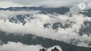 The mist in Darjeeling isn't just weather—it's the soul of the place, soft and mysterious screenshot 4