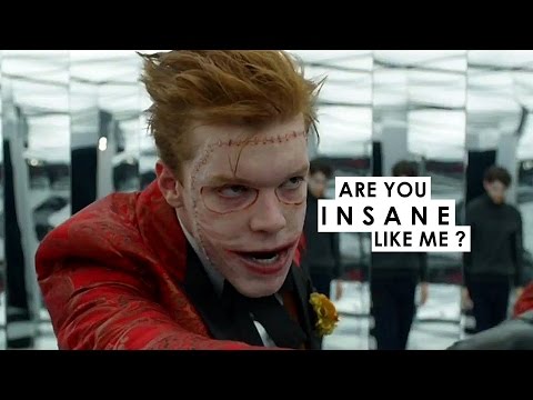 Joker Are You Insane Like Me 