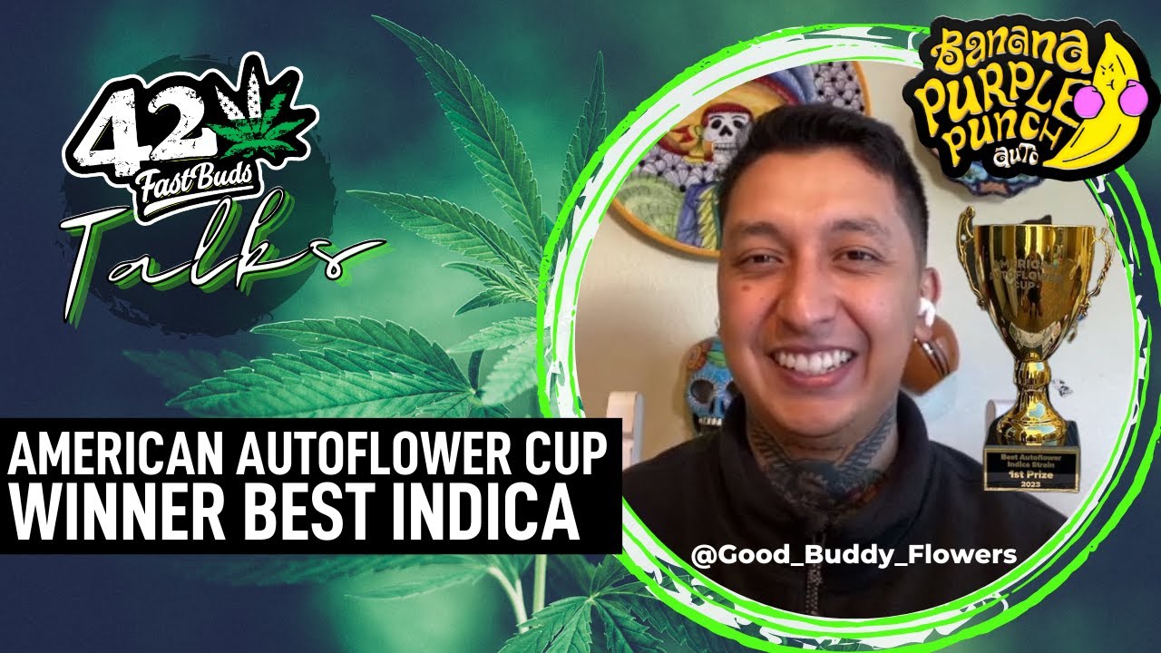 Лучшая индика на AAC — Banana Purple Punch от Good_Buddy_Flowers | Fast Buds Talks