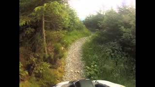 Rostrevor Red Grade Mountain Biking - GoPro helmet cam