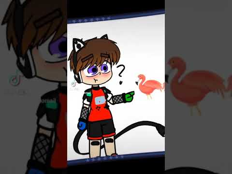 Sad Cat Dance