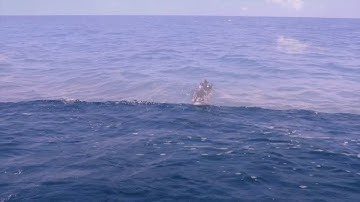 ENOS - to find a drop in the ocean