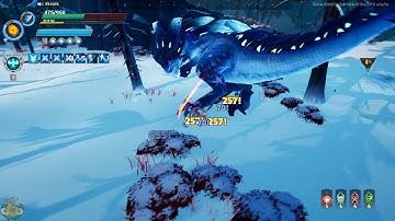 End Game DPS Fire Chain Blades Build