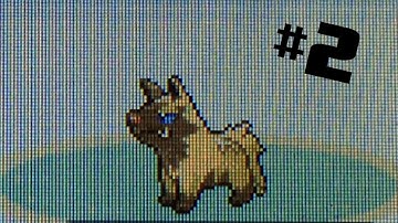 LIVE! Shiny UNCATCHABLE POOCHYENA #2 after 8,627 SRs! (Sapphire)