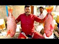 SELVAM FISH CUTTING | KASIMEDU SELVAM FISH CUTTING SKILL | SPEED SELVAM FISH CUTTING | $50 RED FISH